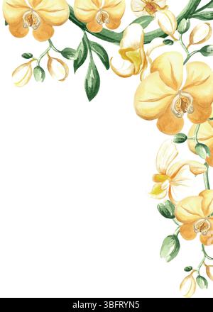 Gelbe Orchideenblüten mit Blättern isolierte Illustration. Tropischer floraler Eckrahmen mit phalaenopsis. Botanische Postkartenschablone mit Aquarell Stockfoto