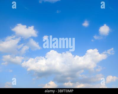 Großer blauer Himmel mit flauschigen weißen Wolken an einem hellen Tag. Ruhiger blauer Himmel mit weichen, weißen Wolken, die eine friedliche und weitläufige Naturszene schaffen Stockfoto