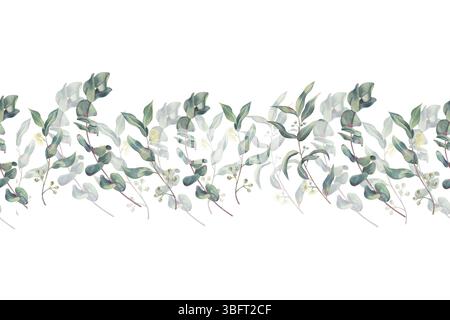 Nahtlose Eukalyptus-Grenze, Zweige mit Blättern, Blumen und Triebe in der Mitte, Aquarell auf weißem Hintergrund für Branding, Druck auf Textil Stockfoto