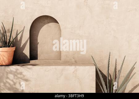 Leere Stuckwand mit Schatten und Aloe-Tontopf. Sommer-Hintergrund mit traditioneller Fassade. Architekturdesign mit neutralem rustikalem aest Stockfoto