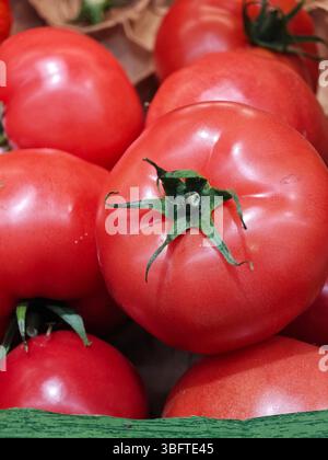 Auf einem Markt im Freien werden frisch geerntete rote Tomaten in einem gewebten Korb präsentiert. Das Sonnenlicht verstärkt ihre satte Farbe, Attra Stockfoto