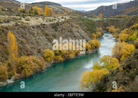 Spaziergang auf dem Peregrine Loop Track an einem Herbsttag, Gibbston Valley, Queenstown, Neuseeland Stockfoto