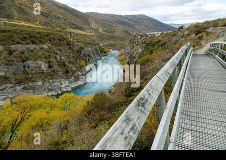 Spaziergang auf dem Peregrine Loop Track an einem Herbsttag, Gibbston Valley, Queenstown, Neuseeland Stockfoto