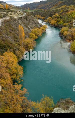 Spaziergang auf dem Peregrine Loop Track an einem Herbsttag, Gibbston Valley, Queenstown, Neuseeland Stockfoto