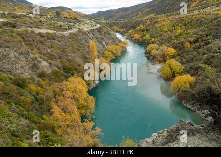 Spaziergang auf dem Peregrine Loop Track an einem Herbsttag, Gibbston Valley, Queenstown, Neuseeland Stockfoto