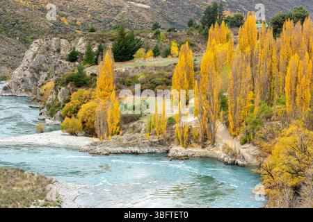 Spaziergang auf dem Peregrine Loop Track an einem Herbsttag, Gibbston Valley, Queenstown, Neuseeland Stockfoto