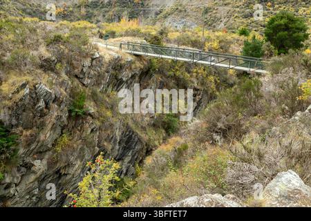Eine Fußgängerbrücke über eine Schlucht auf dem Peregrine Loop Track, Gibbston Valley, Queenstown, Neuseeland Stockfoto