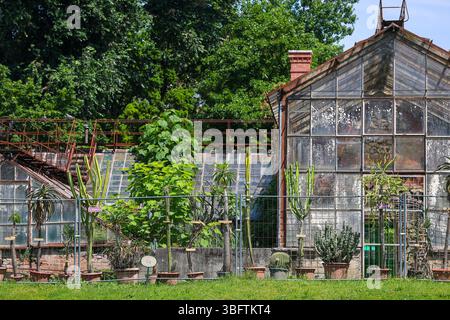Sommerwetter im Botanischen Garten in Zagreb, Kroatien am 03. Juli 2025. Foto: Sanjin Strukic/PIXSELL Stockfoto
