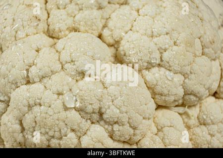Makrotextur der Blumenkohloberfläche mit Wassertröpfchen Stockfoto