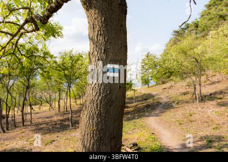 Touristenmarke auf dem Baum, in der Nähe des Weges im Nationalpark. Stockfoto