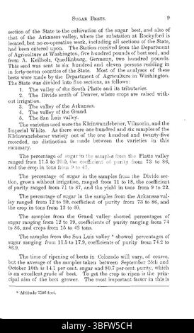 Seite aus einem zusammenfassenden Bericht aus dem Jahr 1901, der die Ergebnisse der Zuckerrübenforschung von Colorado’s Agricultural Experiment Station dokumentiert, einschließlich Ernteerträge und Daten. Stockfoto