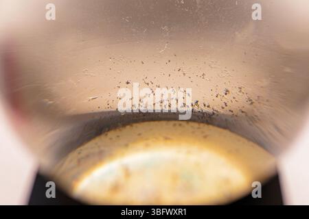 Lupenkugel mit kontaminiertem radioaktivem Boden auf der Ausstellung. Ökologische Katastrophe Stockfoto