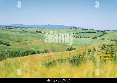 Toskanische Landschaft mit sanften Hügeln, Zypressen und einem Bauernhaus unter blauem Himmel Stockfoto