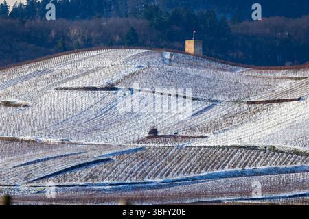 Schloss Kaysersberg hoch über schneebedeckten Weinbergen in Ammerschwihr, Oberrhein, Frankreich, an einem kalten Wintertag Stockfoto