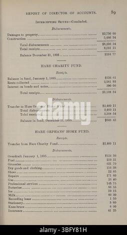 Im Jahresbericht 1895-1896 der Stadt Columbus werden die Finanztransaktionen, einschließlich der Einnahmen und Ausgaben, aufgeführt, die von den Stadtverwaltungen im Geschäftsjahr 1896 durchgeführt wurden. Stockfoto