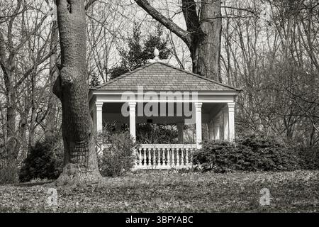 Ein klassischer weißer Pavillon steht ruhig zwischen blattlosen Bäumen in einer ruhigen Parklandschaft, die an einem ruhigen Wintertag in zeitlosem Schwarz-weiß gehalten wird. Stockfoto