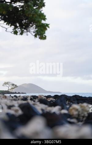 Weißer und schwarzer Korallenstrand auf Maui Hawaii Stockfoto