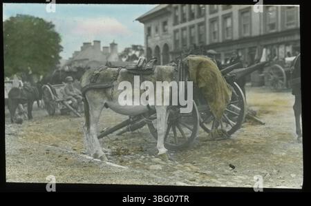 Ein Esel mit einem Futterbeutel über dem Kopf steht neben einem fesselnden Auto in den Straßen von Kenmare, Irland. Die Arrases besuchten das County Kerry während ihrer Europatournee 1913 und nahmen diesen Moment fest. Der Futterbeutel des Esels ist auf dem Foto deutlich sichtbar und zeigt einen Moment des lokalen ländlichen Lebens in Irland. Stockfoto
