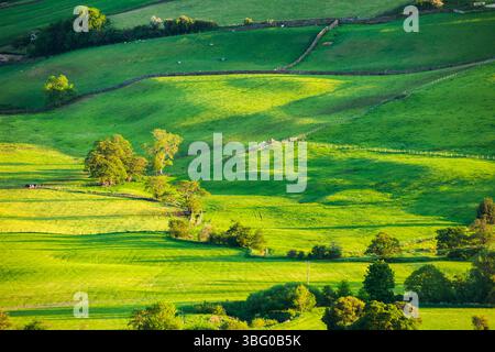 Frühlingsnachmittag auf den North York Moors, North Yorkshire, England. Stockfoto