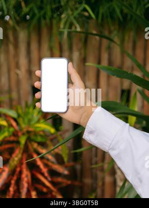 Handheld Smartphone mit weißem Bildschirm auf tropischem Hintergrund. Mockup für das Design von mobilen Apps oder Websites. Stockfoto