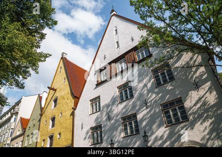 Tallinn Altstadt, der drei Brüder Gebäudekomplex in Estland Stockfoto