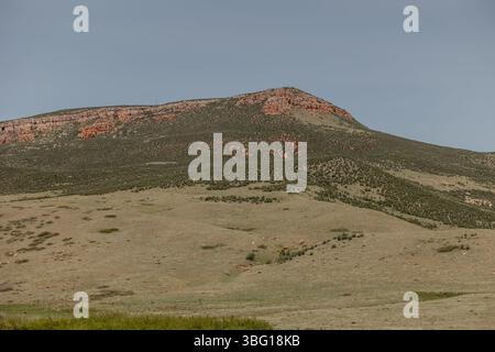 wyoming-Landschaft-Familie-Kinder-Mutter-Felsen-Kühe-Pferde-Land-cheyenne-wy-Sonne-Weide Stockfoto