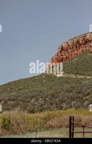 wyoming-Landschaft-Familie-Kinder-Mutter-Felsen-Kühe-Pferde-Land-cheyenne-wy-Sonne-Weide Stockfoto