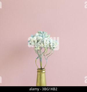 Getrocknete blaue Hydrangea-Blume in goldener Flasche mit pinkfarbenem Hintergrund. Blumen-Komposition, Platz für Kopien Stockfoto