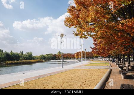 Wm Park, Pyeonghwa Park im Herbst in Seoul, Korea Stockfoto