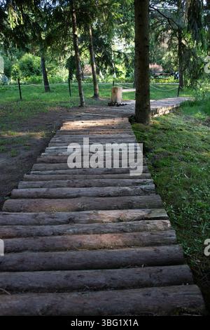 Ein Weg aus Holzstämmen, der zu einer Holzbank in einem Park mit Nadelbäumen führt Stockfoto