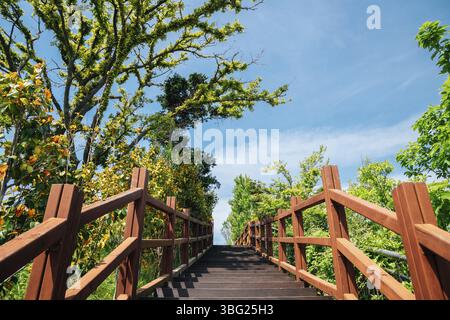 Treppe mit grünen Bäumen im Jasan Park in Yeosu, Korea Stockfoto