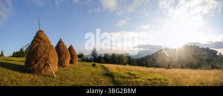 Ruhige Landschaft mit traditionellen Heuhaufen, die hoch auf einer grasbewachsenen Wiese stehen. Szene im warmen Licht der untergehenden Sonne, mit Hintergrund sanfter Hügel und fernen Wäldern unter klarem, blauem Himmel. Stockfoto