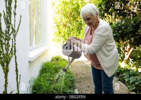 Seniorin, die Gartenbetten mit Metallkanne auf einem schmalen Kiesweg neben einer mit Weinreben bedeckten Mauer tränkt Stockfoto
