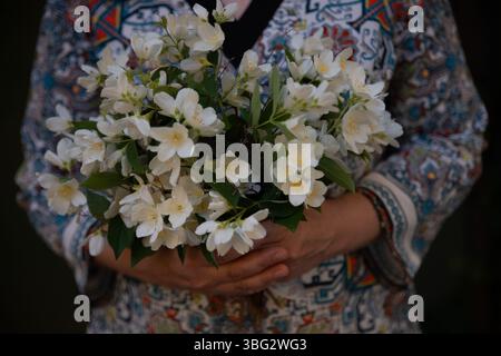 Nahaufnahme der Hände einer Frau in einer bunten Bluse, die einen Strauß von sehr duftenden Jasminblüten hält Stockfoto