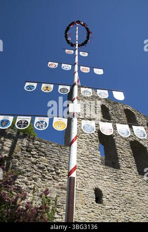 Schlossruine Bad Lippspringe mit Mypole, Nordrhein-Westfalen, Deutschland, Europa Stockfoto