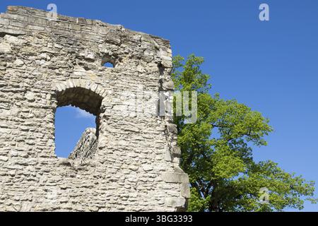 Burgruine Bad Lippspringe, Nordrhein-Westfalen Stockfoto