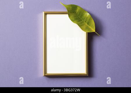 Goldrahmen mit grünem Blatt auf violettem Hintergrund. Draufsicht, Kopierraum Stockfoto