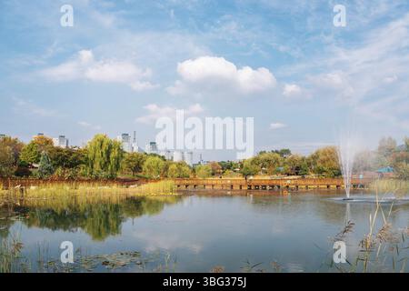 Hanbat Arboretum, Teich und Wald im Herbst in Daejeon, Korea Stockfoto