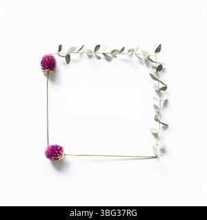 Lila Globus Amaranth trockene Blumen und Eukalyptusblätter auf weißem Hintergrund. Flach legen, Draufsicht, Kopierraum Stockfoto