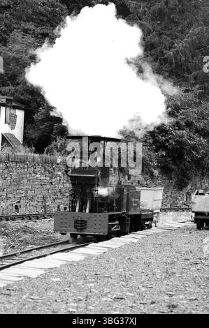 Fernilee fährt einen kurzen Zug nach Felin Fawr. Stockfoto