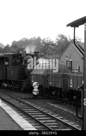 "Der Earl" bei Llanfair Caereinion. Stockfoto