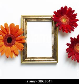 Leerer Bilderrahmen mit Gerbera-Blüten auf weißem Hintergrund. Blumenmuster, flaches Lay, Draufsicht, Kopierraum Stockfoto