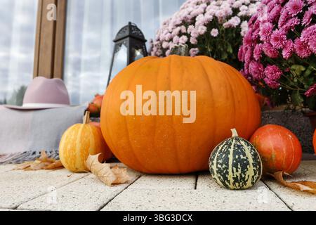 Schöne Dekoration mit Kürbissen, Chrysantheme Blumen und Kerzen. Einrichtung im Herbst Stockfoto