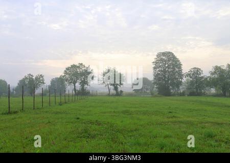Nostalgische, nebelige Landschaft an einem Spätsommermorgen. Grafikressourcen Stockfoto