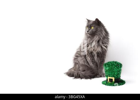 Niedliche flauschige graue Katze sitzt neben grünem St. Patrick's Day Partyhut isoliert auf weißem Hintergrund mit Kopierraum Stockfoto