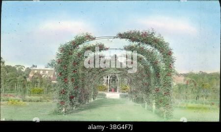 Das Spalier im Elizabeth Park Rose Garden in Hartford, Connecticut, wurde 1913 gefangen genommen. Die Arrases tourten durch Neuengland auf ihrem Weg nach Europa, und dieses Foto ist Teil ihrer Dokumentation der Reise. Stockfoto