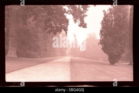 Ein langer Pfad durch Bäume auf dem Gartengelände von Warwick Castle, der während der Europatour der Arrases 1913 festgehalten wurde. Dieses Foto spiegelt die ruhige Gartenlandschaft des Schlosses wider und zeigt die historische Umgebung des Anwesens vor dem Ausbruch des Ersten Weltkriegs Stockfoto