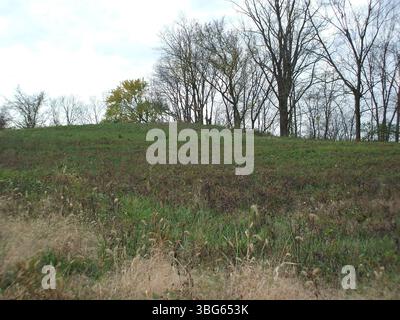 Der Prairie Oaks Mound FR78, der sich am Mound Trail im Prairie Oaks Metro Park befindet, ist ein indianischer Grabhügel. Es liegt zwischen Beach Road und Patterson Road, gleich neben der Amity Road, und bleibt eine wichtige archäologische Stätte. Stockfoto