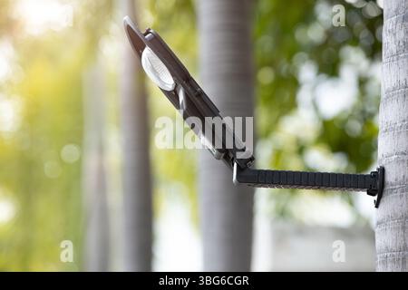 LED-Straßenleuchte im öffentlichen Raum Solarstromquelle Beleuchtung mit Baumstamm als Lichtmast Natur-Blending-Look Stockfoto