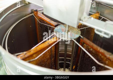 Bienenzucht, Bienenzucht im landwirtschaftlichen Betrieb zur Herstellung von Honigextrakt, hochnährstoffreiche Naturnahrung aus Gefahrenkäfer. Stockfoto
